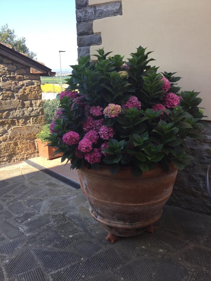 Agriturismo Borgo Tra Gli Olivi Castiglion Fiorentino Buitenkant foto
